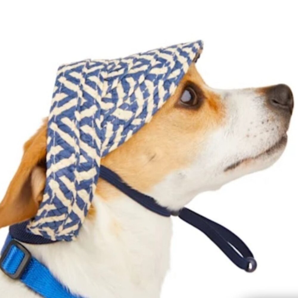 Dog Hat: The Poet Straw Visor Cap, L/XL